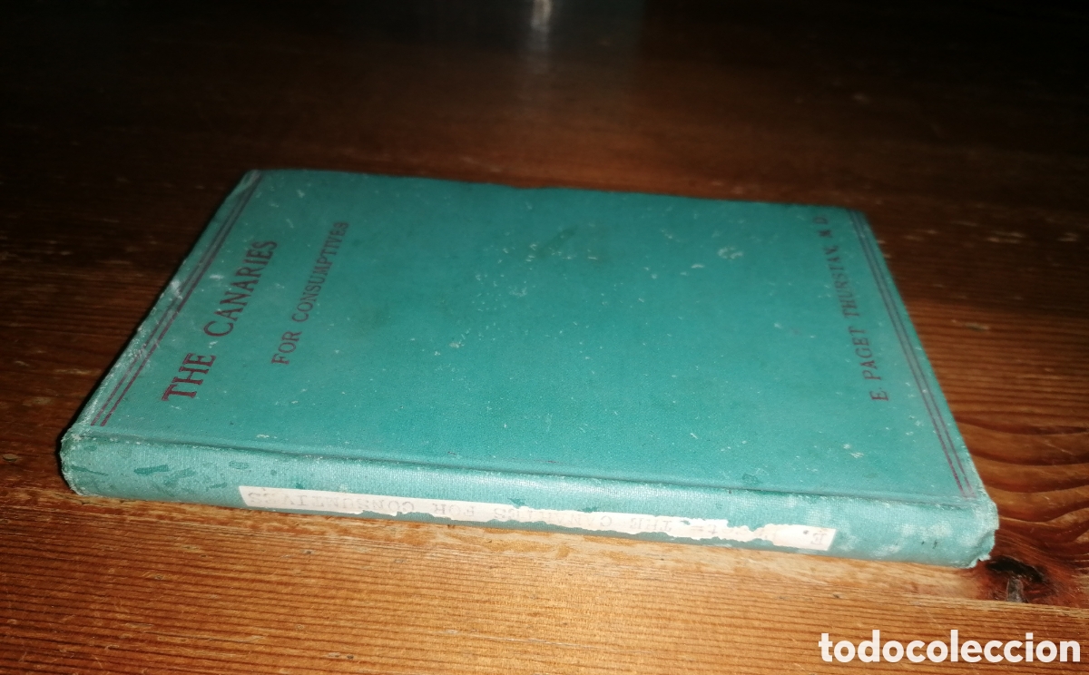Libros antiguos: THE CANARIES FOR CONSUMPTIVES - E. Page Thurstan, M D - 1889 - Foto 15