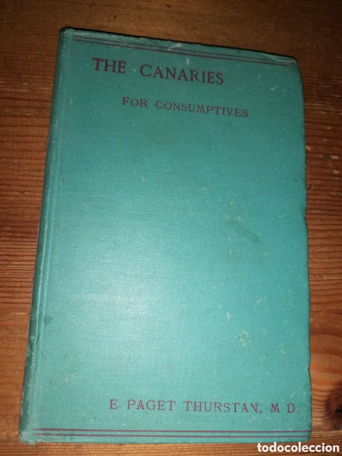 Libros antiguos: THE CANARIES FOR CONSUMPTIVES - E. Page Thurstan, M D - 1889 - Foto 1