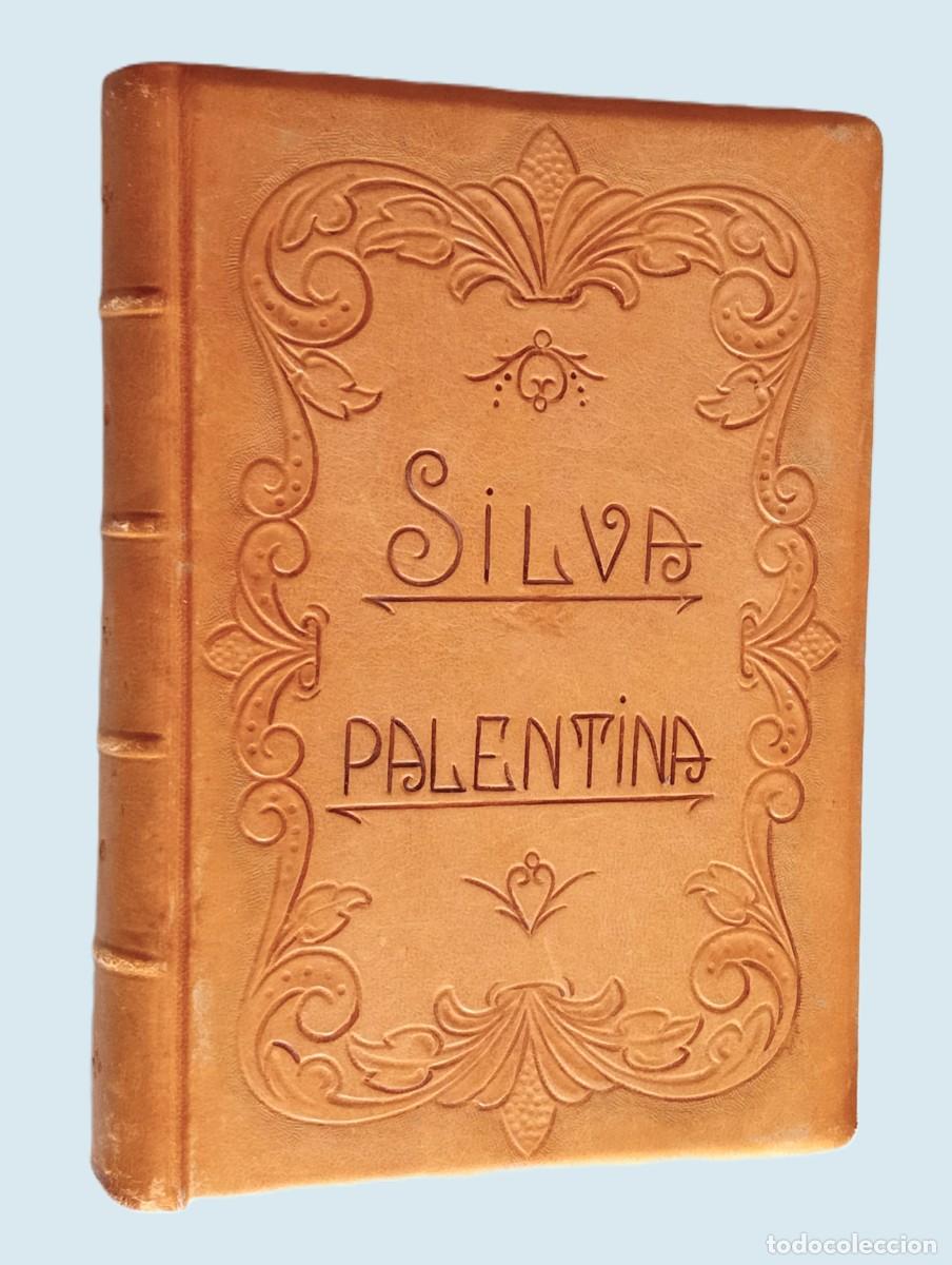 Libros antiguos: SILVA PALENTINA. TOMO PRIMERO - Foto 1