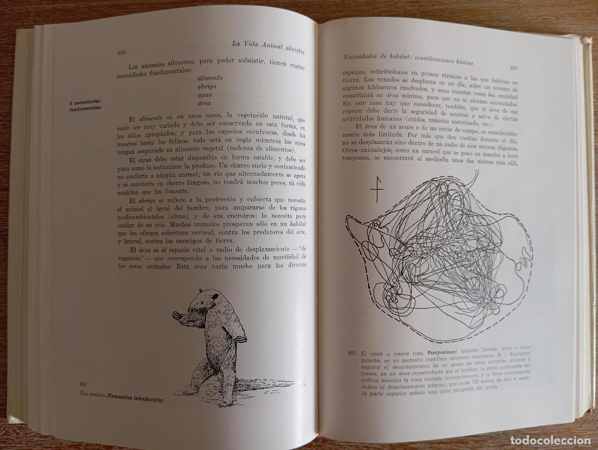 Libros antiguos: CONSERVACION - ARTURO EICHLER - Foto 3