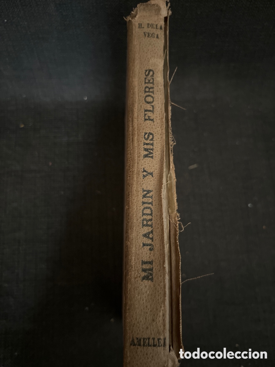 Libros antiguos: Mi jard&iacute;n y mis flores - Foto 3