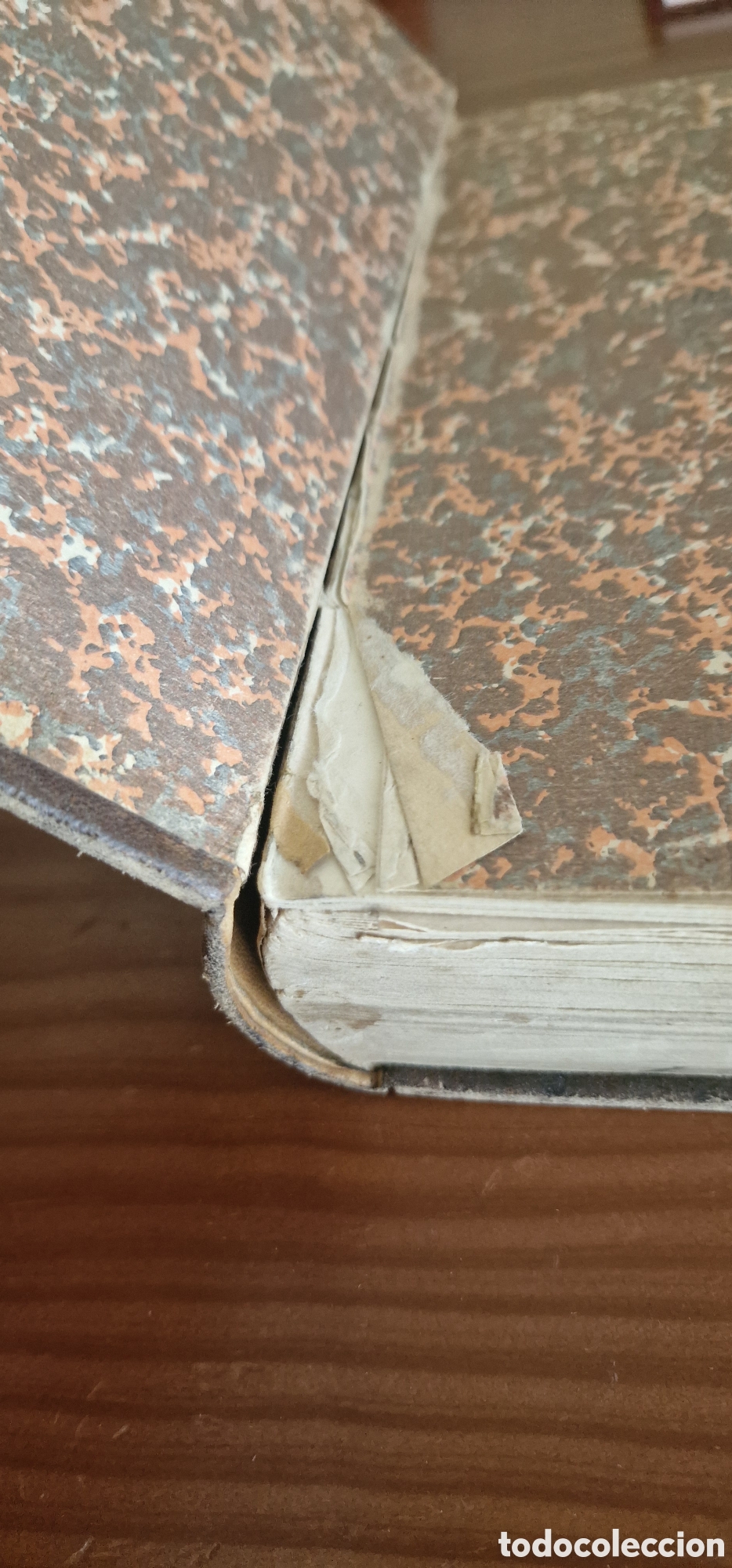 Libros antiguos: Ganader&iacute;a - D. Jos&eacute; M&ordf; de Soroa y Pineda - Foto 4