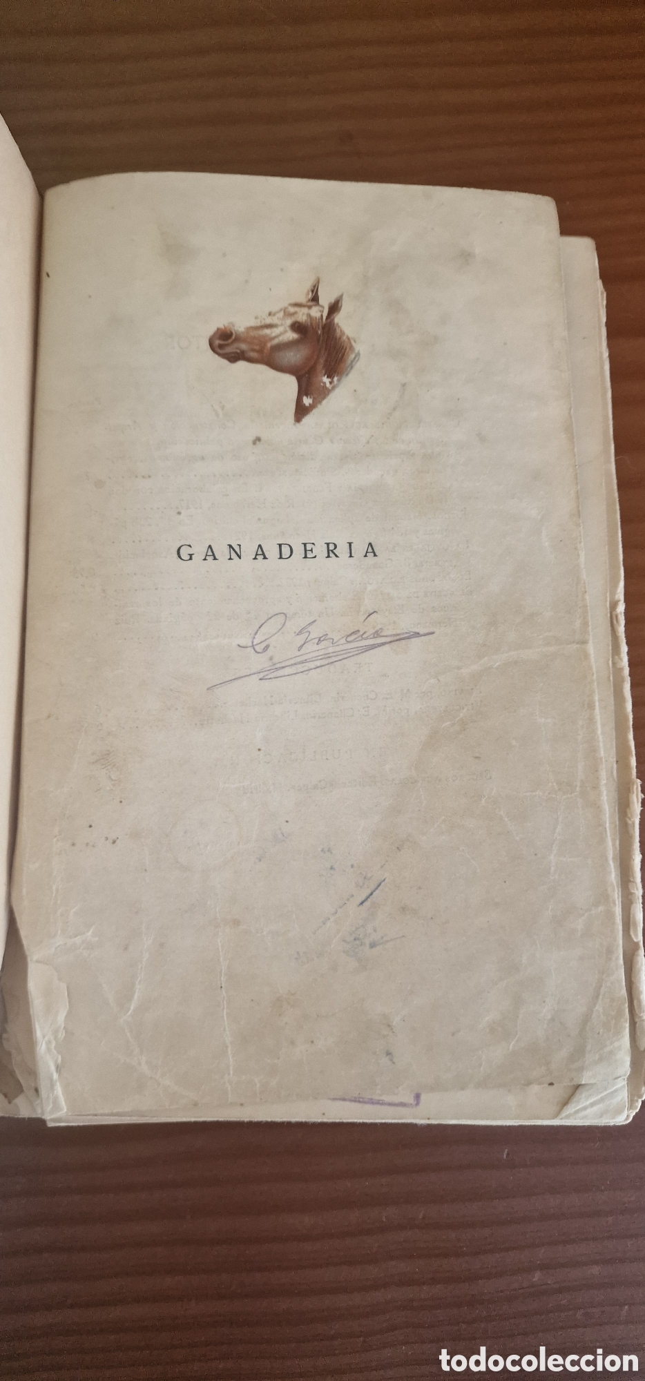 Libros antiguos: Ganader&iacute;a - D. Jos&eacute; M&ordf; de Soroa y Pineda - Foto 5