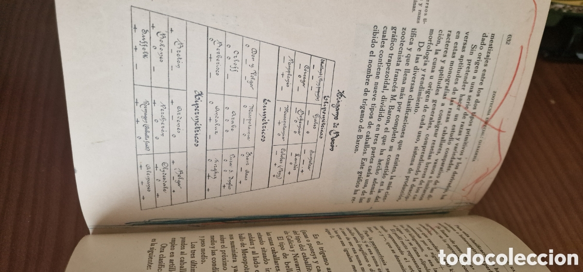 Libros antiguos: Ganader&iacute;a - D. Jos&eacute; M&ordf; de Soroa y Pineda - Foto 15