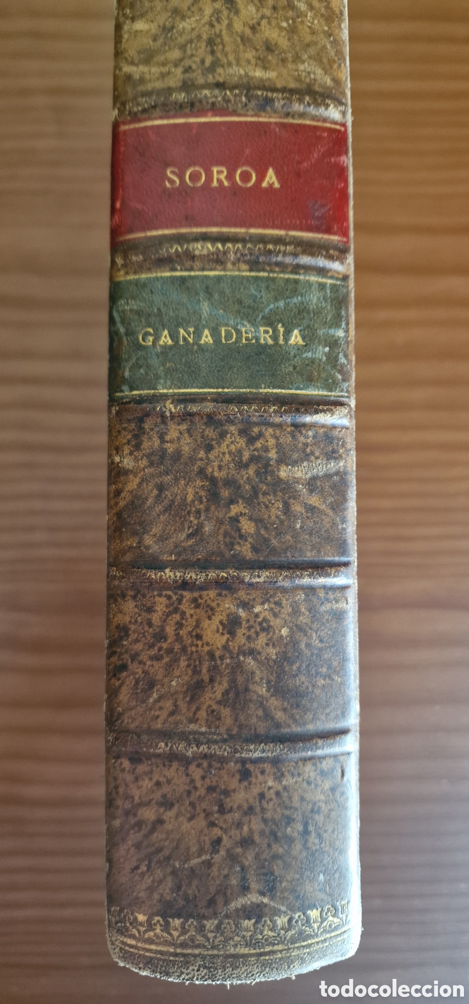 Libros antiguos: Ganader&iacute;a - D. Jos&eacute; M&ordf; de Soroa y Pineda - Foto 1