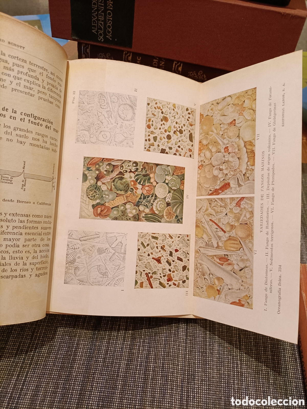 Libros antiguos: 2 Libros,1a&ntilde;o 1930,1a&ntilde;o 1948 - Foto 5