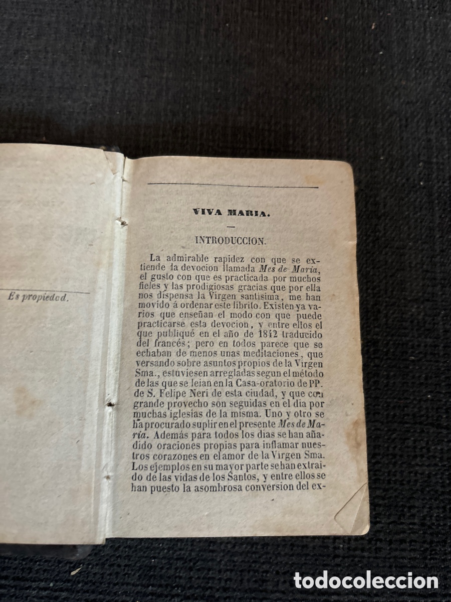 Libros antiguos: Nuevo ramillete de flores - Foto 5