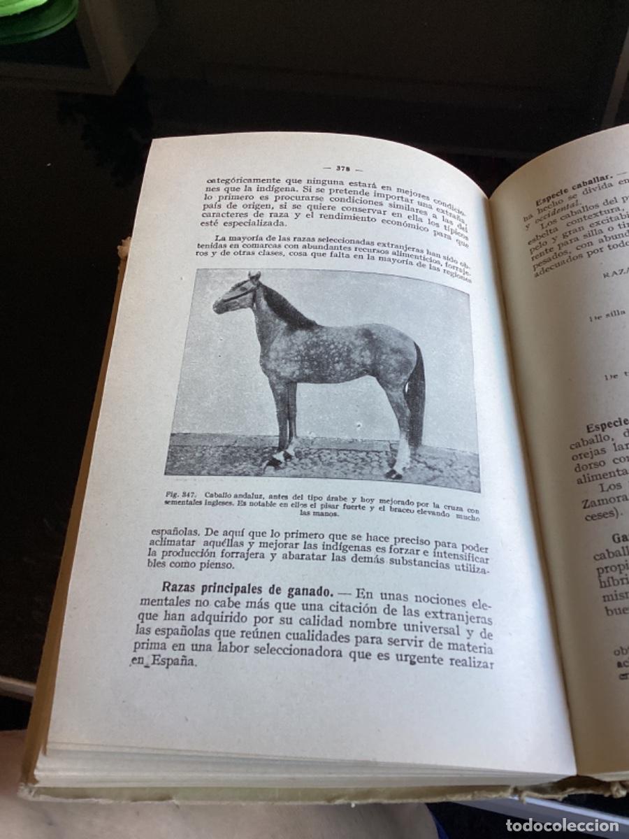 Libros antiguos: TRATADO ELEMENTAL DE AGRICULTURA - Foto 2