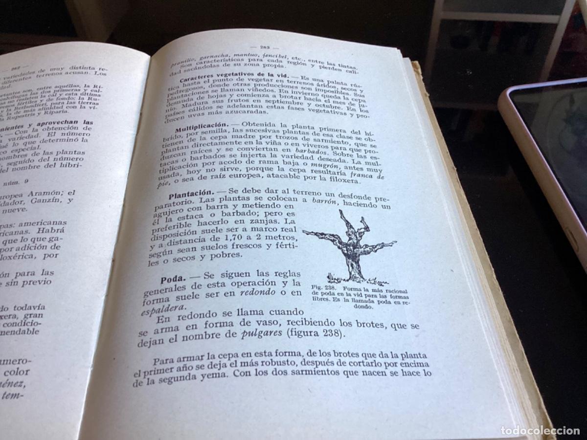 Libros antiguos: TRATADO ELEMENTAL DE AGRICULTURA - Foto 4