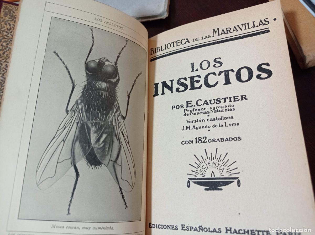 Libros antiguos: 1924 - E. CAUSTIER. Los Insectos - Foto 2