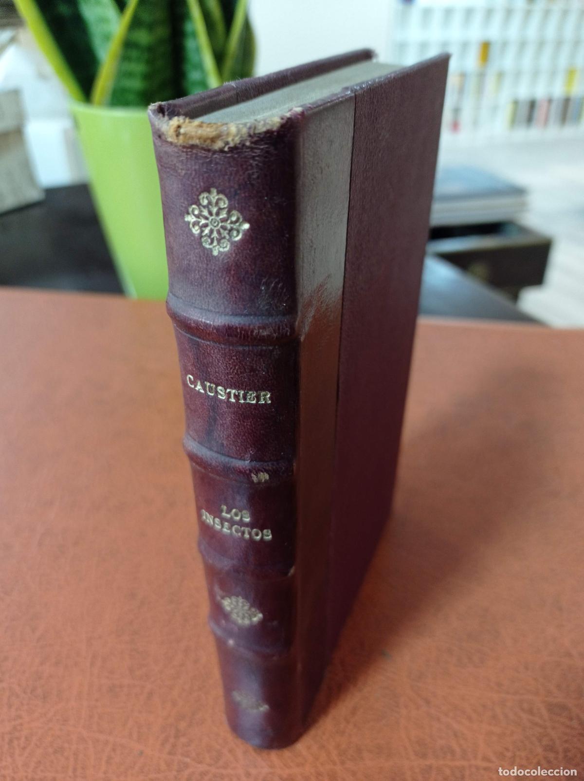Libros antiguos: 1924 - E. CAUSTIER. Los Insectos - Foto 1