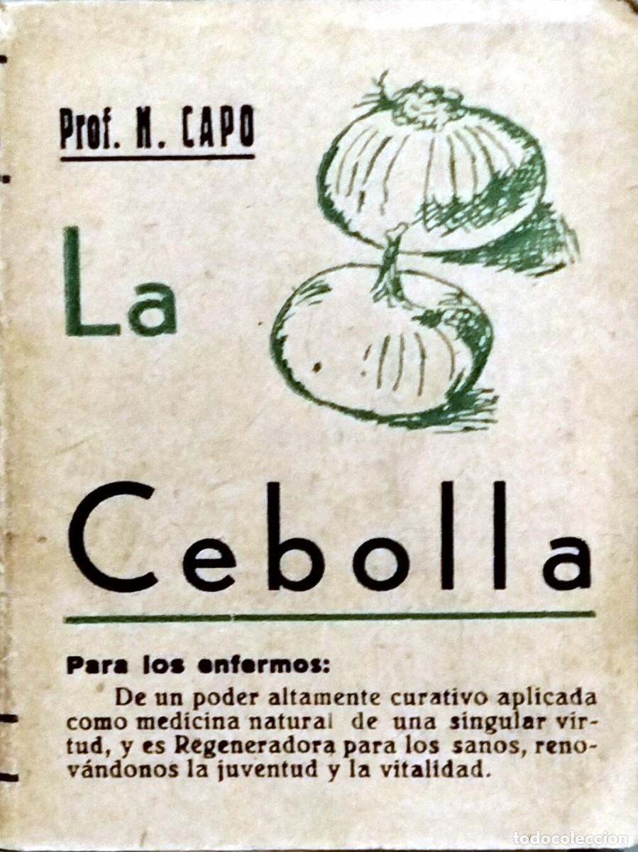 Libros antiguos: LA CEBOLLA, POR PROFESOR N. CAPO - Foto 1