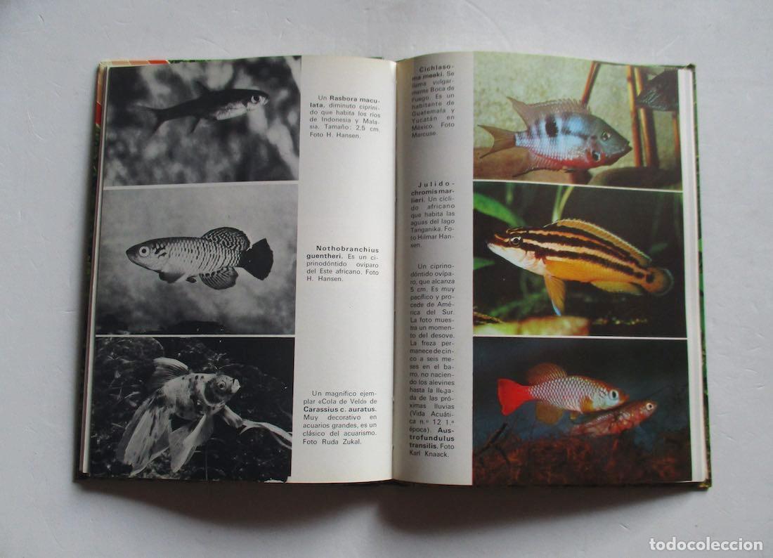 Libros antiguos: EL ABC DEL ACUARIO - WOLFANG OSTERM&Ouml;LLER - Foto 3