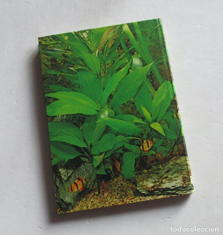 Libros antiguos: EL ABC DEL ACUARIO - WOLFANG OSTERM&Ouml;LLER - Foto 7