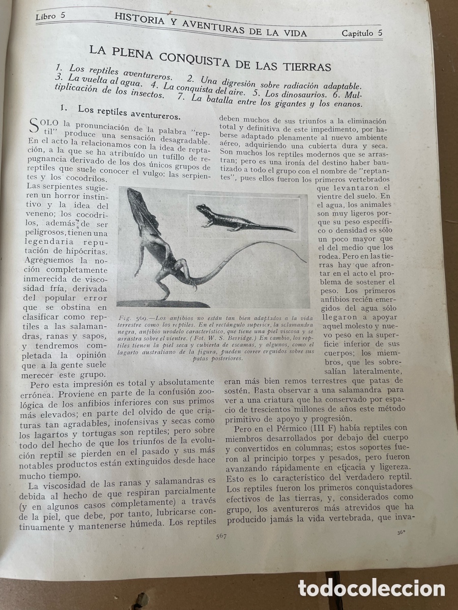 Libros antiguos: LA CIENCIA DE LA VIDA - Foto 5