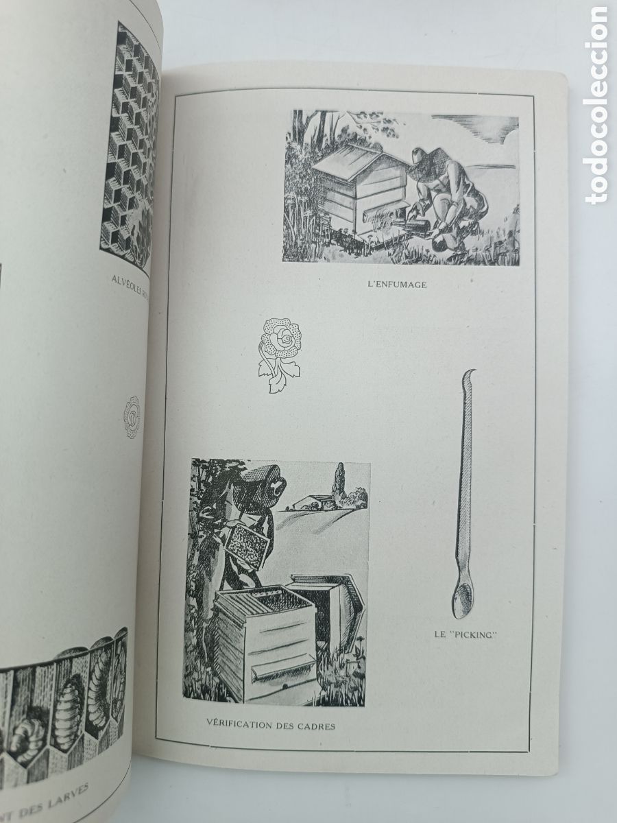 Libros antiguos: Lelevage des abeilles 1946 - Foto 5