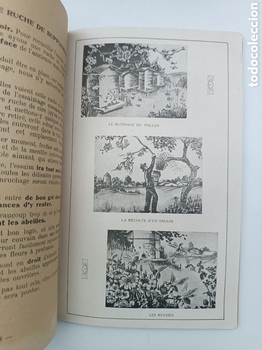 Libros antiguos: Lelevage des abeilles 1946 - Foto 6