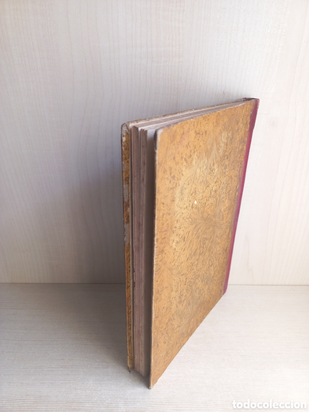 Libros antiguos: Las Amazonas. Pedro Mata. 1852. Sin grabados. - Foto 3