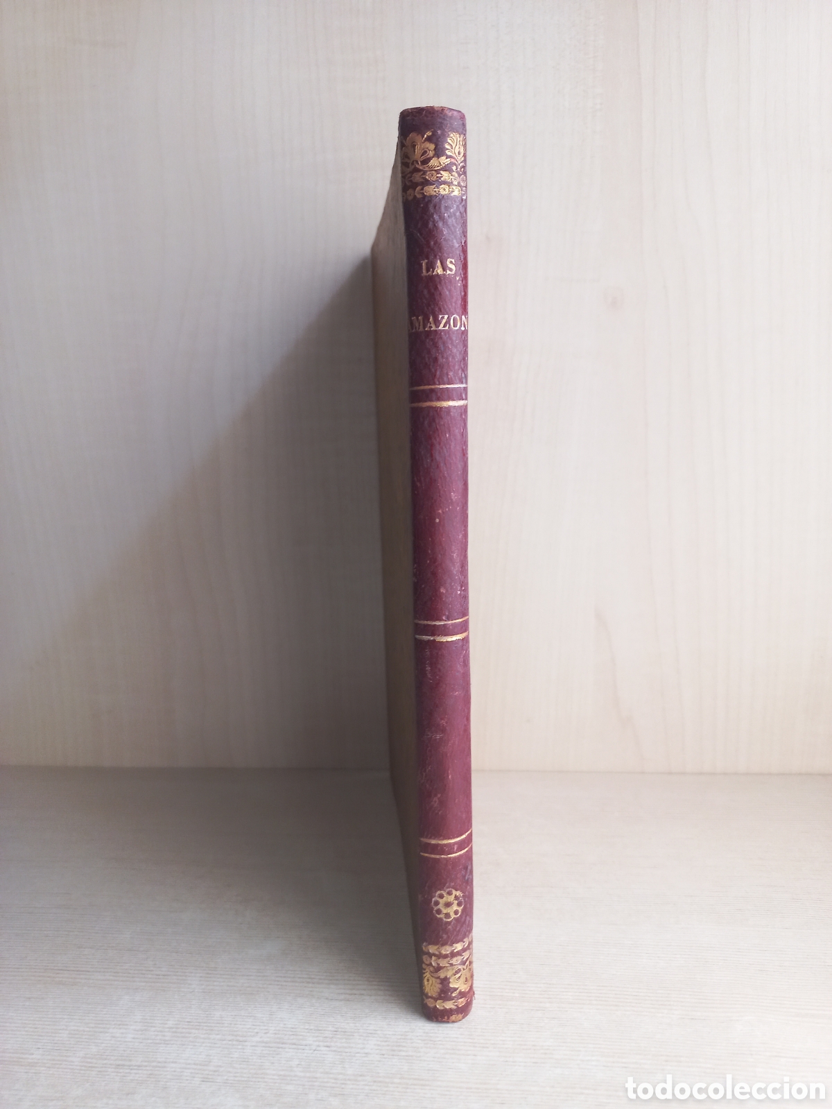 Libros antiguos: Las Amazonas. Pedro Mata. 1852. Sin grabados. - Foto 1