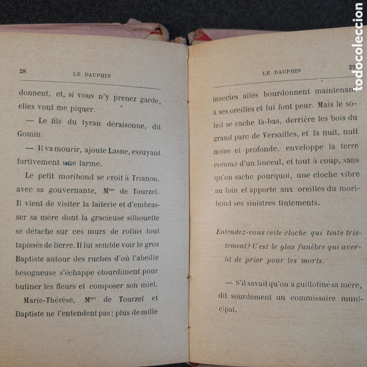 Libros antiguos: DOC-760. LES OISEAUX DE B&Eacute;THANIE. PAR LABB&Eacute; MORIGNY. TOURS, 1893. - Foto 6