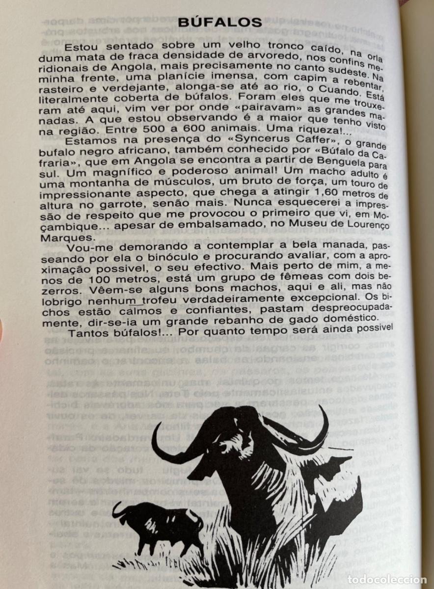 Libros antiguos: A Ca&ccedil;a &hellip; uma Saudade - Foto 4
