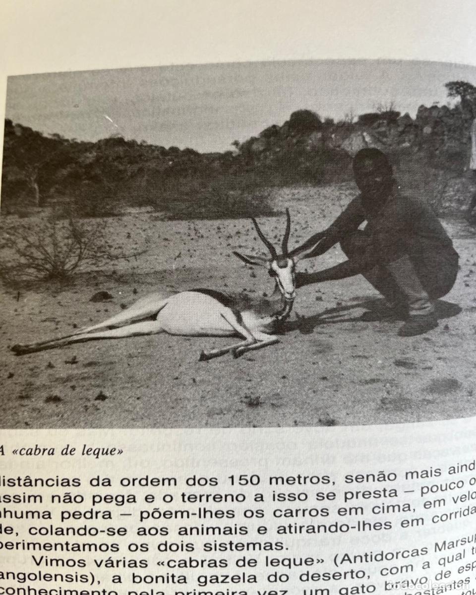Libros antiguos: A Ca&ccedil;a &hellip; uma Saudade - Foto 6