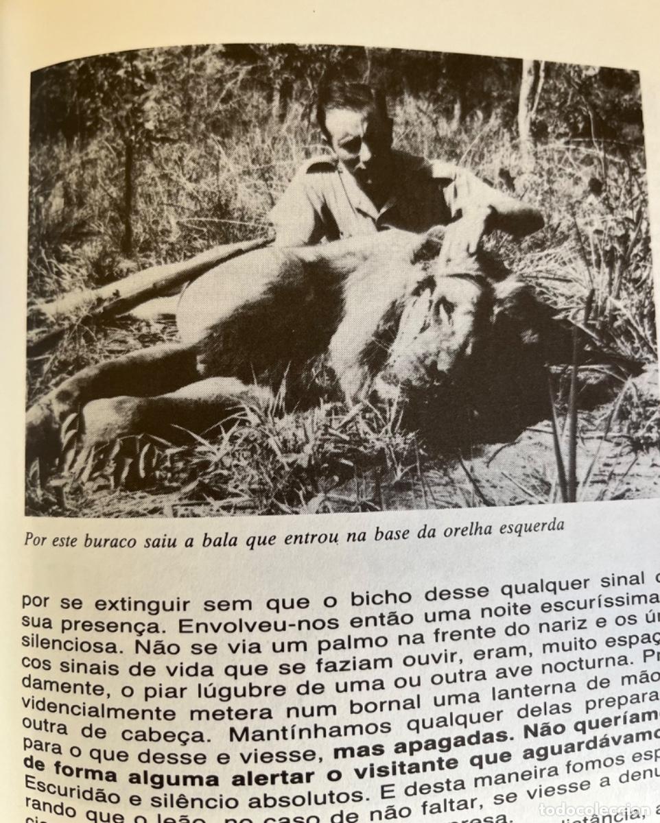 Libros antiguos: A Ca&ccedil;a &hellip; uma Saudade - Foto 10