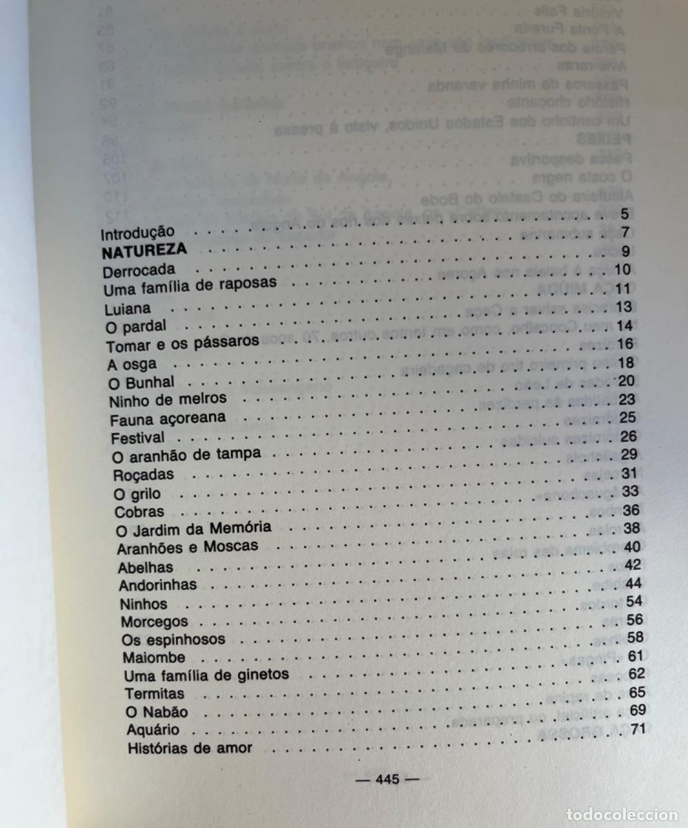 Libros antiguos: A Ca&ccedil;a &hellip; uma Saudade - Foto 13