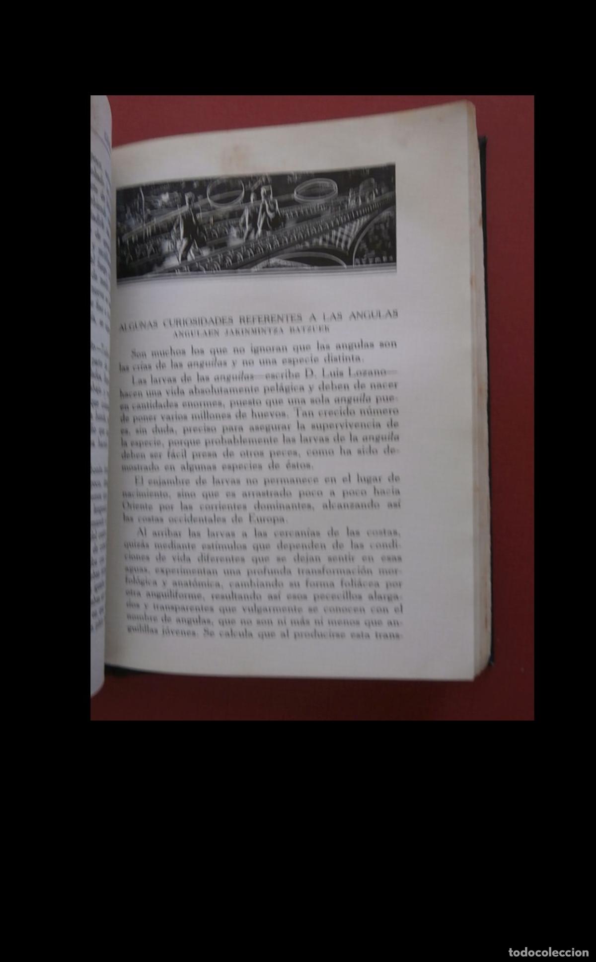 Libros antiguos: La Cocina Vasca. Laurak-Bat. Ignacio Domenech - Foto 2