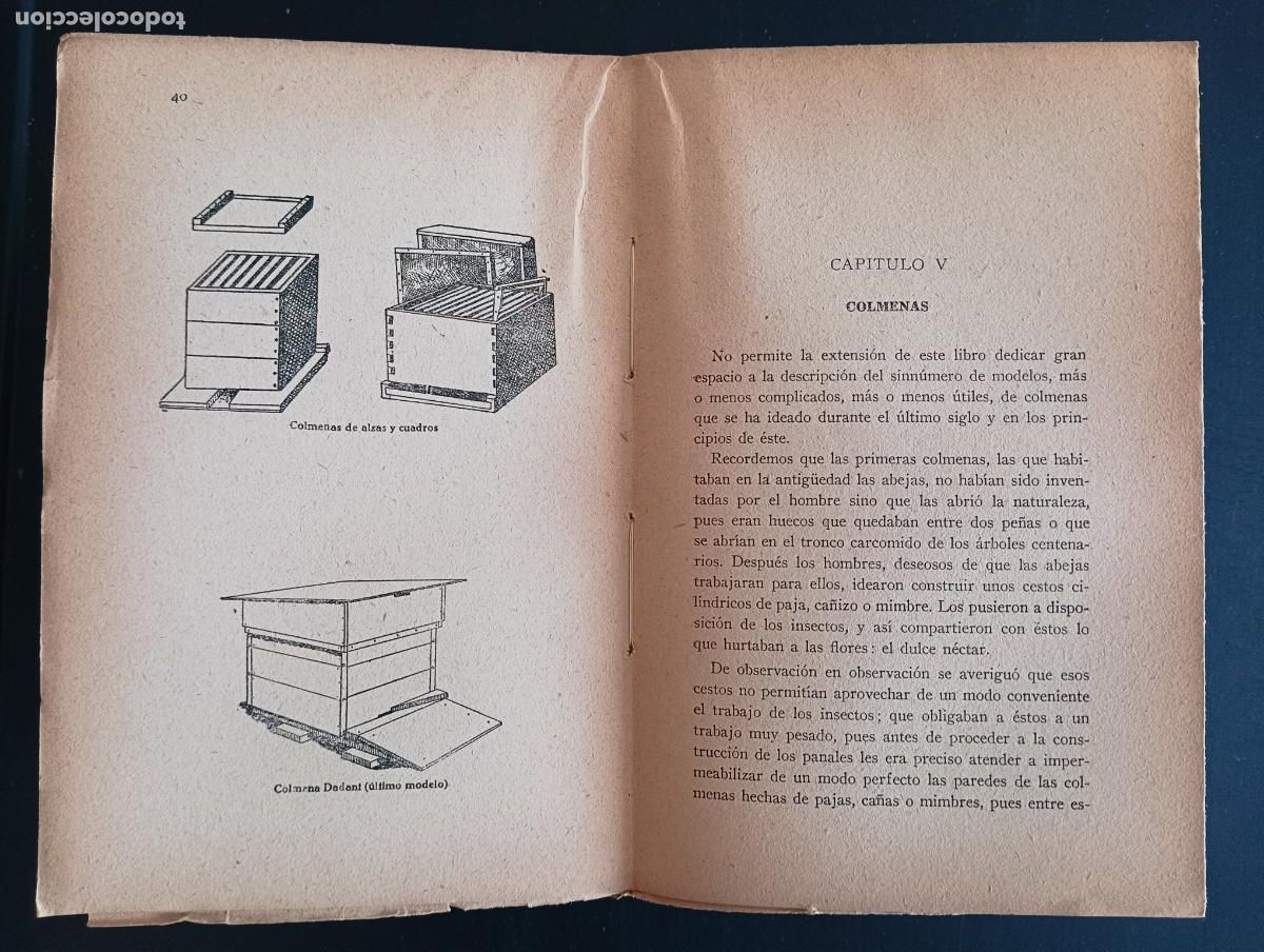 Libros antiguos: Las abejas y sus productos. m. Robles. - Foto 2