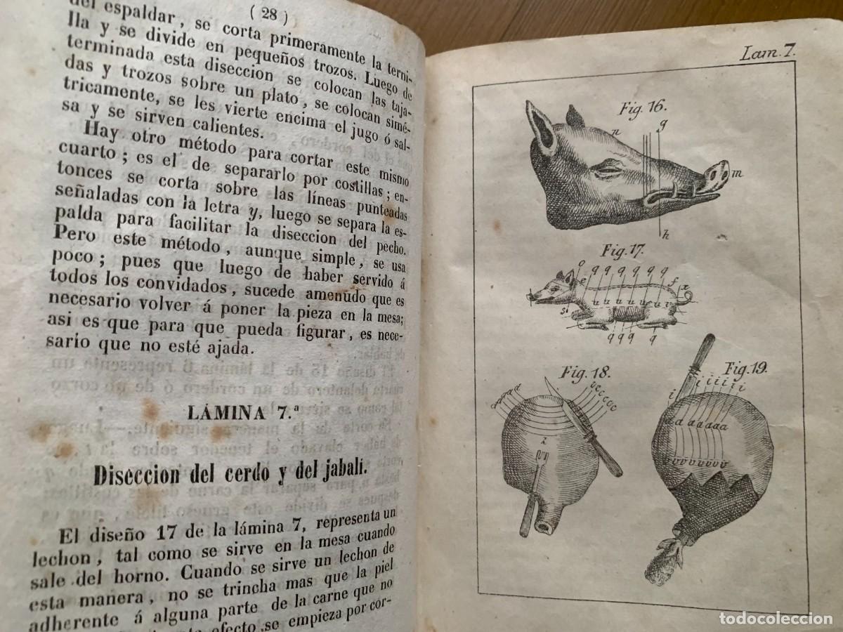 Libros antiguos: Nov&iacute;simo cocinero universal - Foto 6