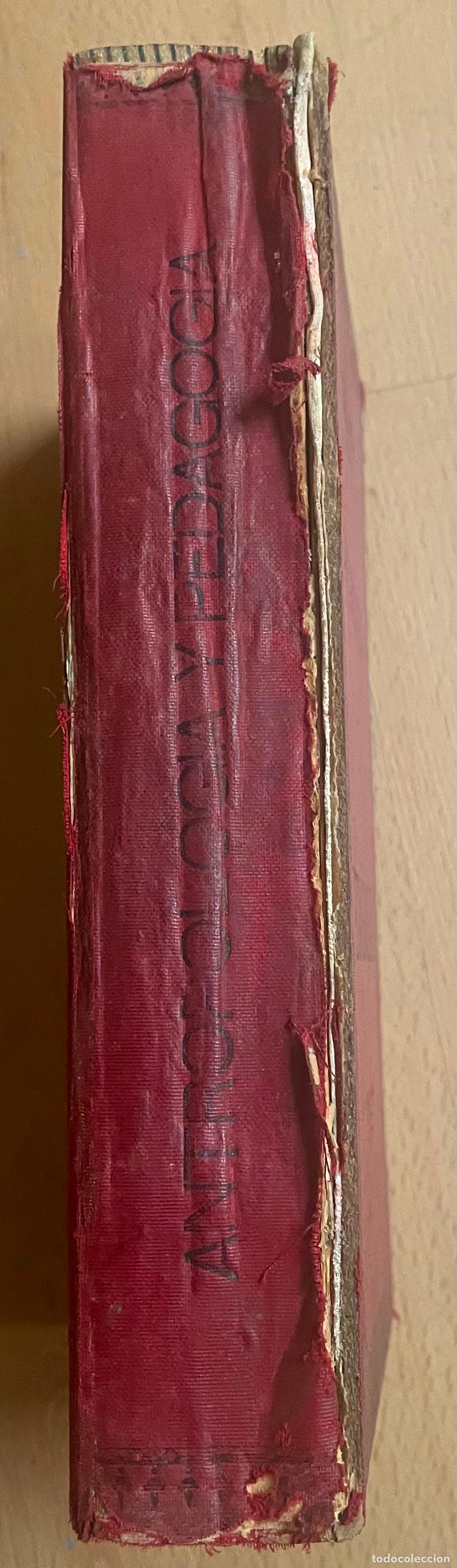 Libros antiguos: ANTROPOLOGIA Y PEDAGOGIA, Diaz Mu&ntilde;oz - Foto 2