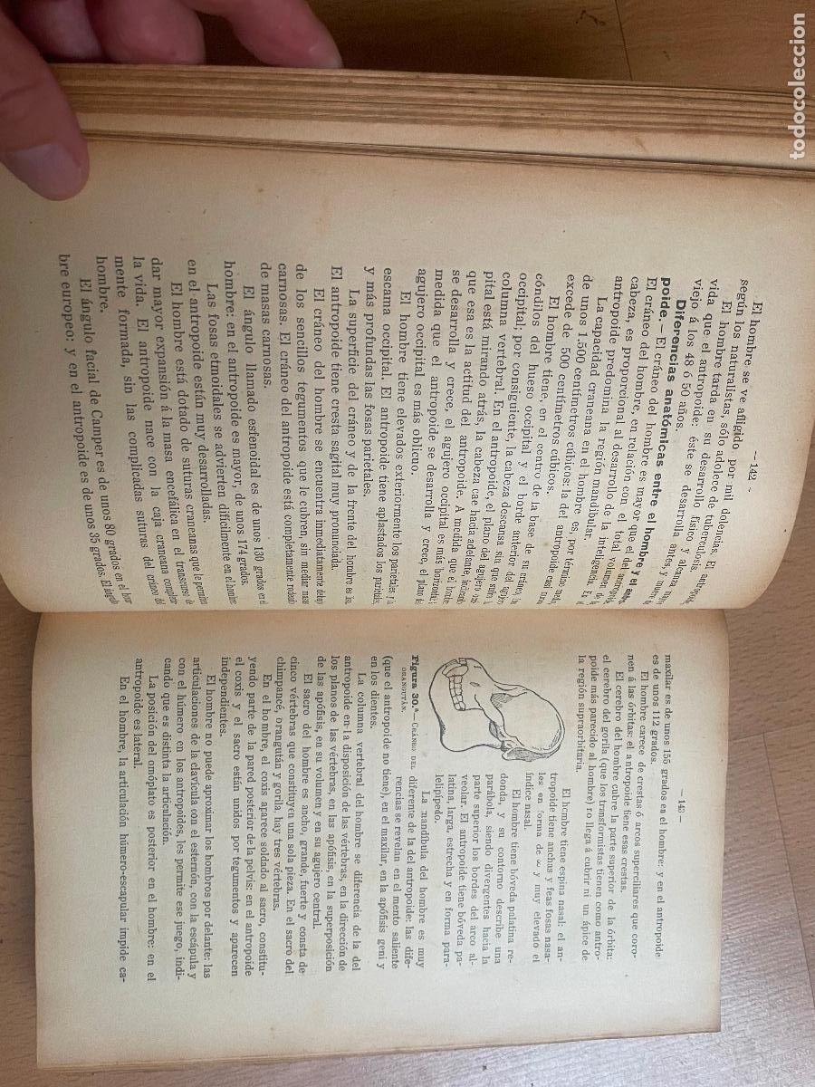 Libros antiguos: ANTROPOLOGIA Y PEDAGOGIA, Diaz Mu&ntilde;oz - Foto 3
