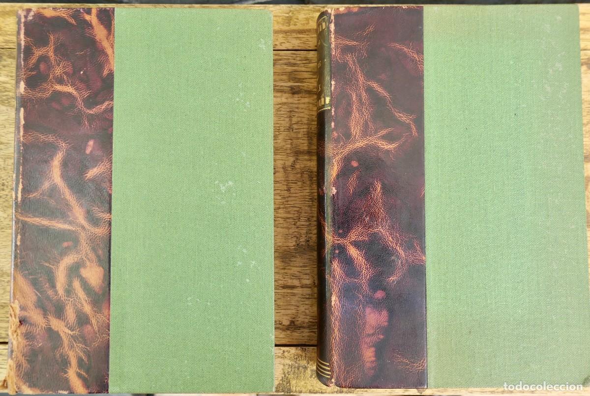 Libros antiguos: LE LIVRE DE LA JUNGLE- RUDYARD KIPLING 1912 - Foto 9