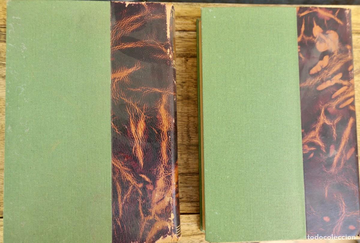 Libros antiguos: LE LIVRE DE LA JUNGLE- RUDYARD KIPLING 1912 - Foto 10