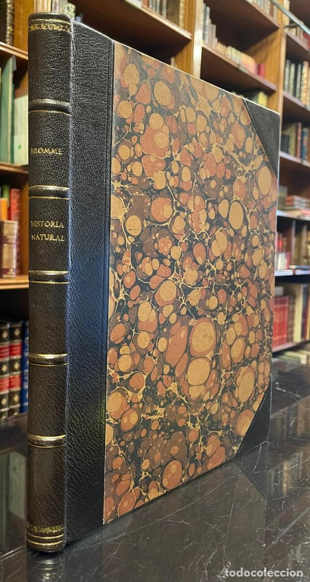 Libros antiguos: Traugott Bromme . Atlas Sistem&aacute;tico De Historia Natural Para Uso De Las Escuelas y De Las Familias