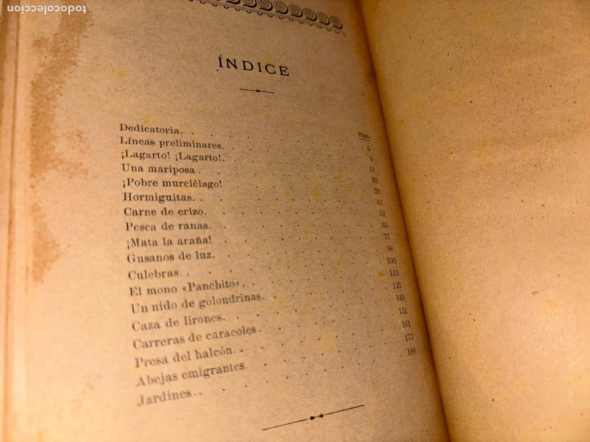 Libros antiguos: TARDES DEL JARDIN. D. PEDRO FERRER 1909 - Foto 6