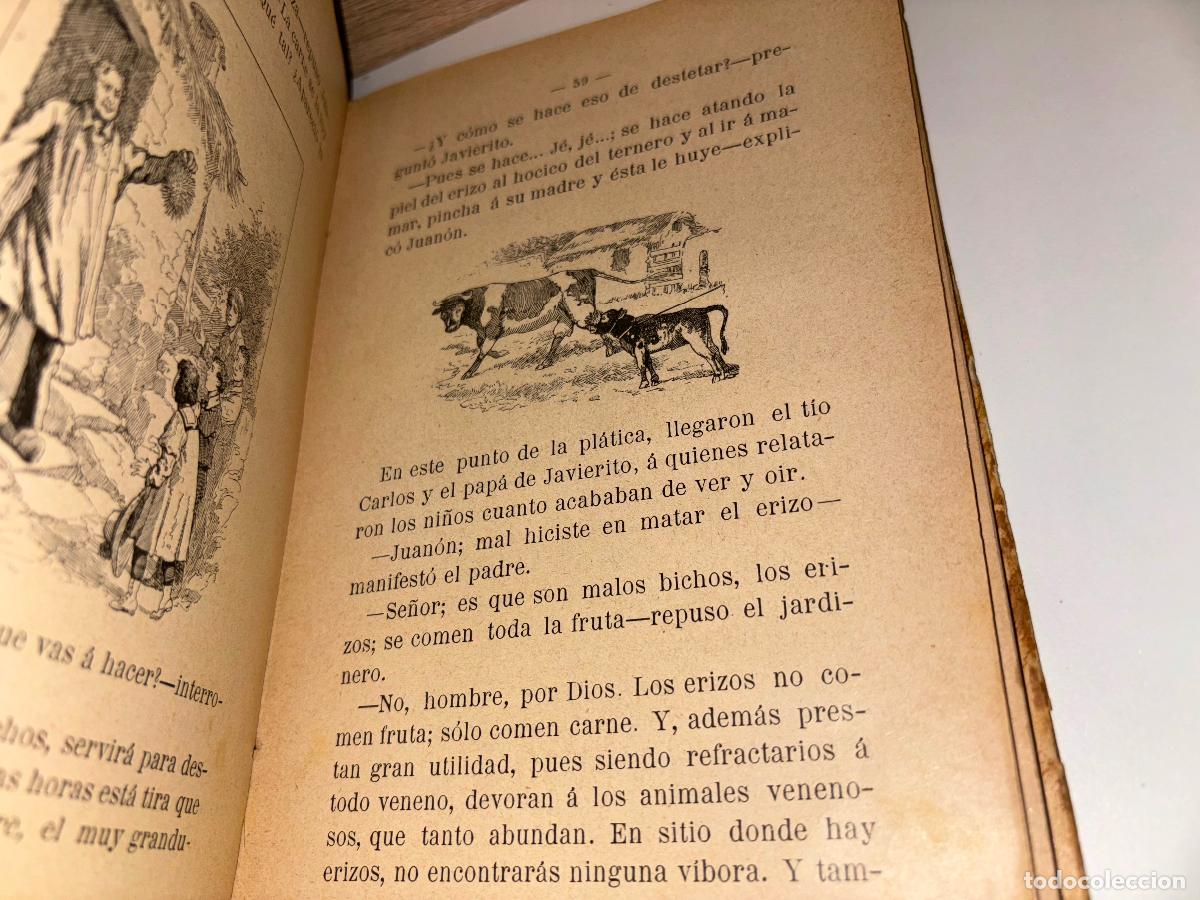 Libros antiguos: TARDES DEL JARDIN. D. PEDRO FERRER 1909 - Foto 9