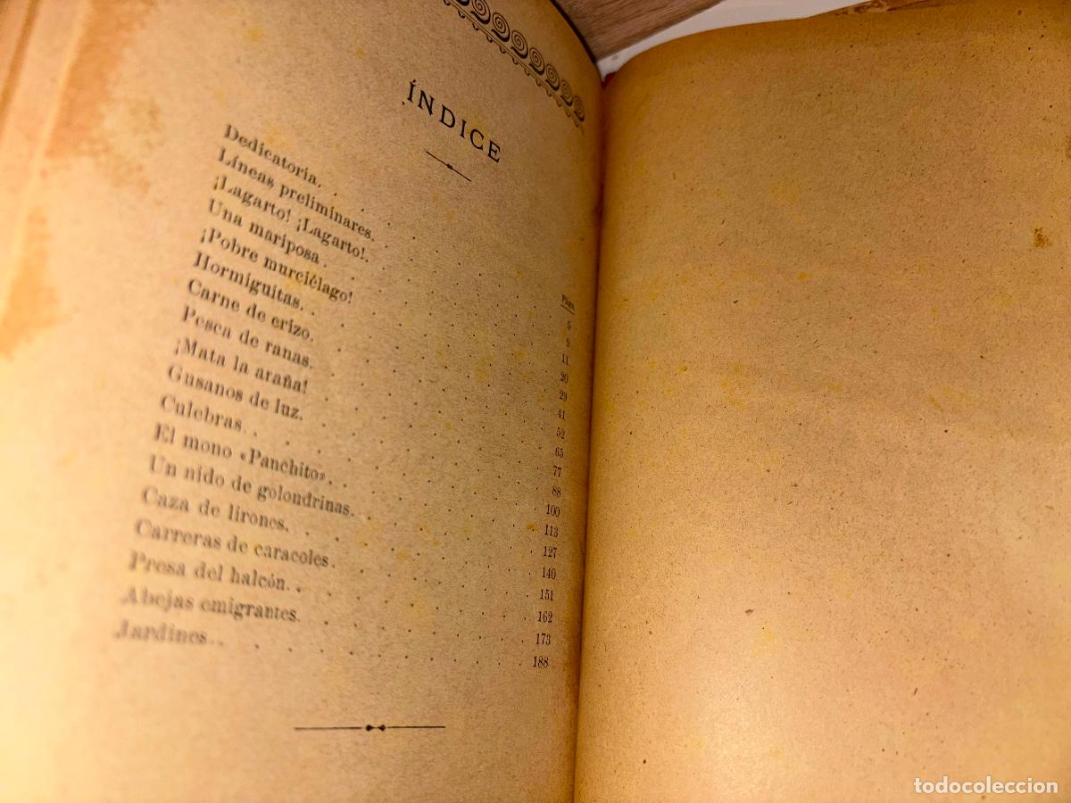 Libros antiguos: TARDES DEL JARDIN. D. PEDRO FERRER 1909 - Foto 10