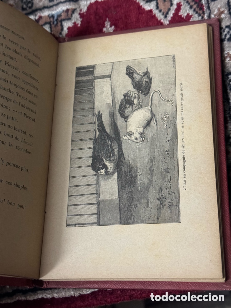 Libros antiguos: Odysee dun pierrot francais Lacuria - Foto 4