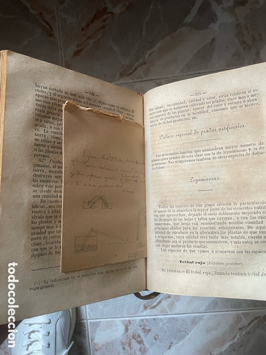 Libros antiguos: ELEMENTOS DE AGRICULTURA - 1857 - Foto 5