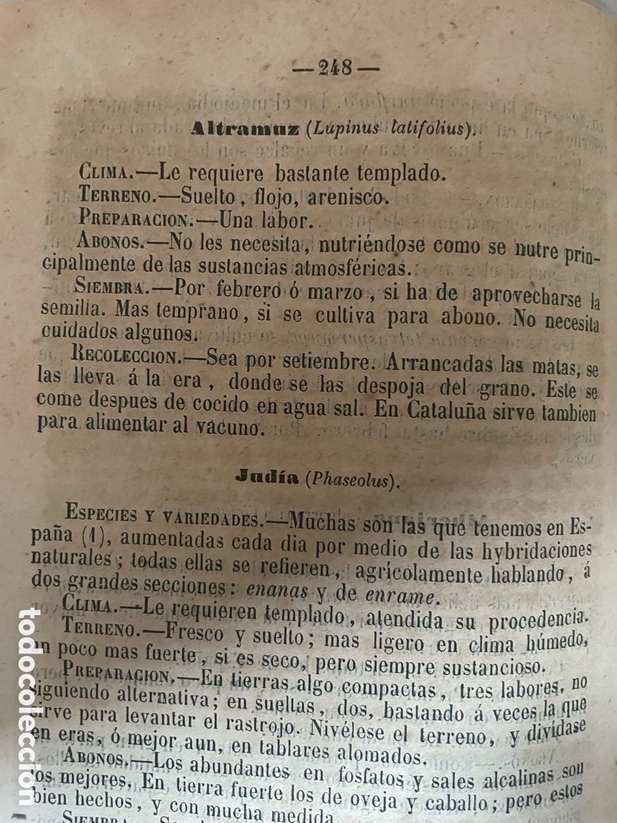 Libros antiguos: ELEMENTOS DE AGRICULTURA - 1857 - Foto 10