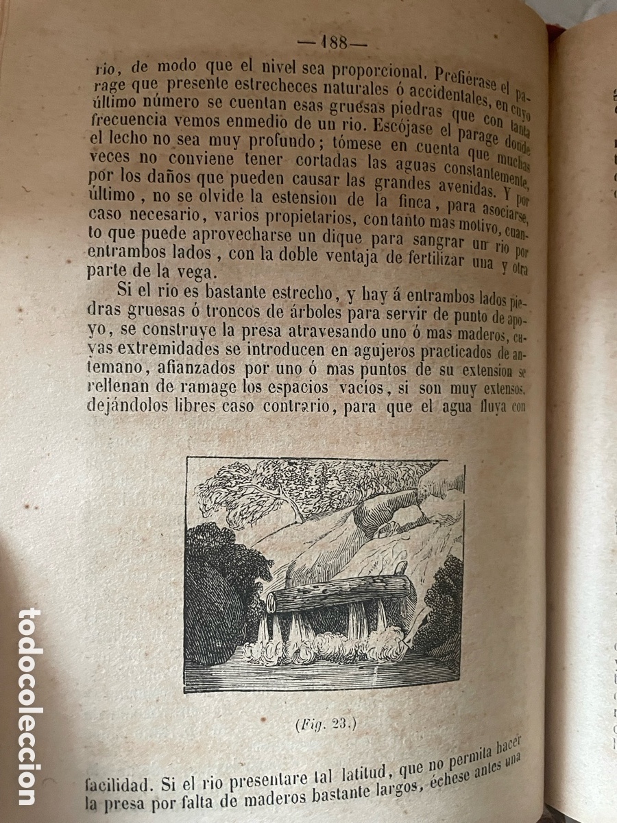 Libros antiguos: ELEMENTOS DE AGRICULTURA - 1857 - Foto 11