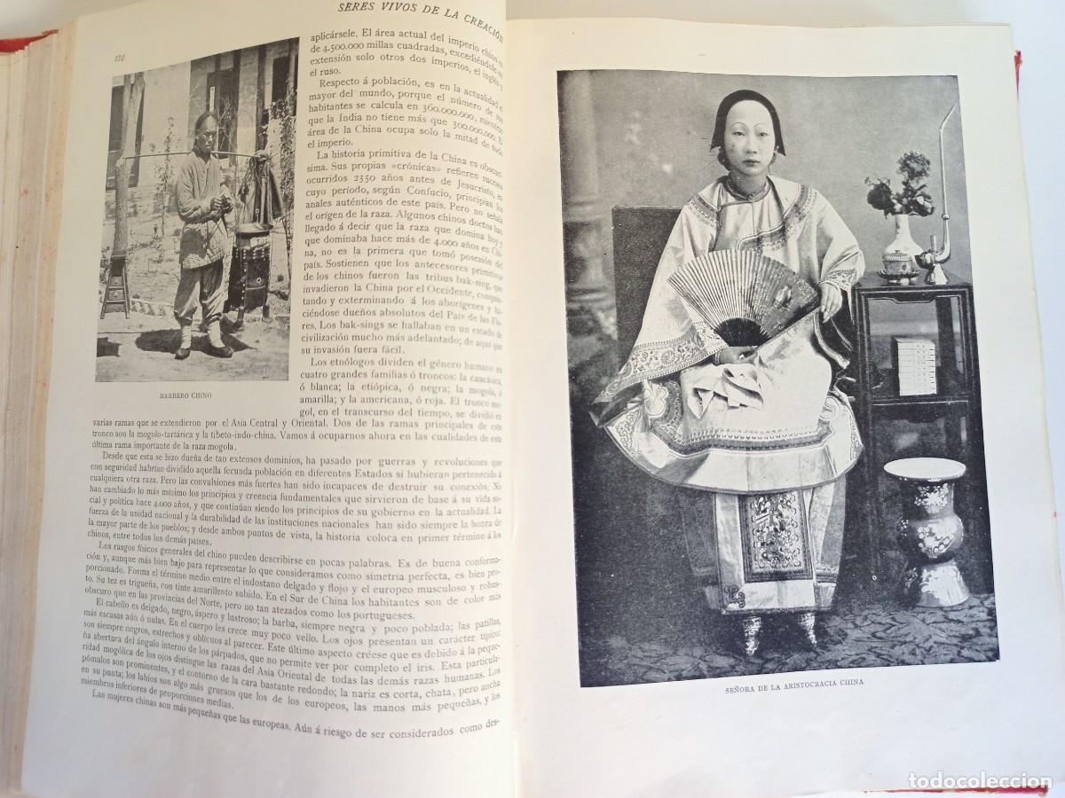 Libros antiguos: Libro Razas Humanas, 1902 - Foto 4