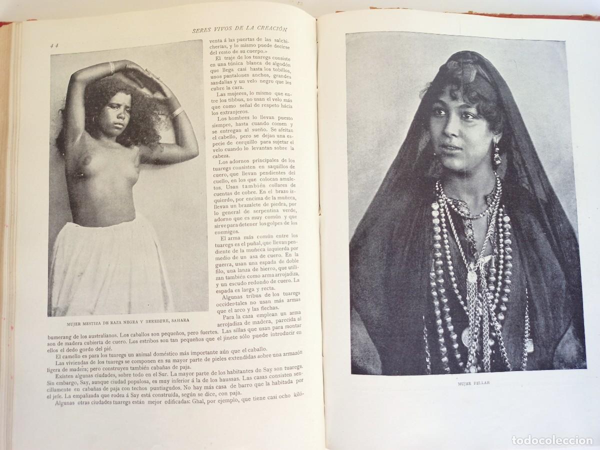 Libros antiguos: Libro Razas Humanas, 1902 - Foto 5