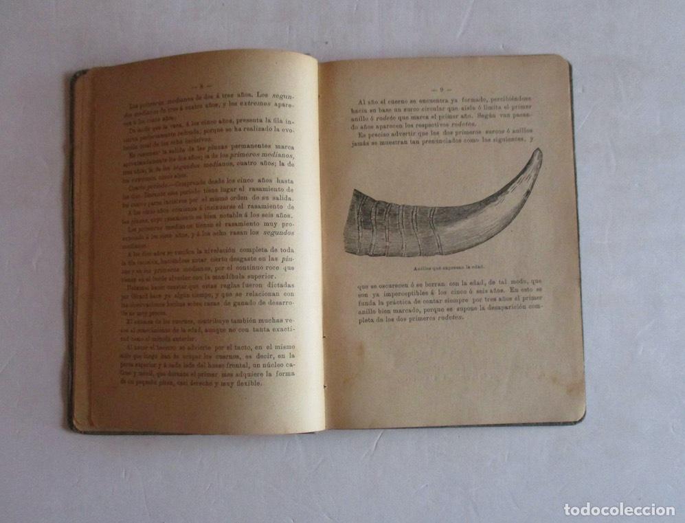Libros antiguos: MANUAL PRACTICO DEL VAQUERO - RAMON PELLICO - Foto 4
