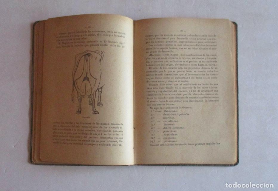 Libros antiguos: MANUAL PRACTICO DEL VAQUERO - RAMON PELLICO - Foto 5