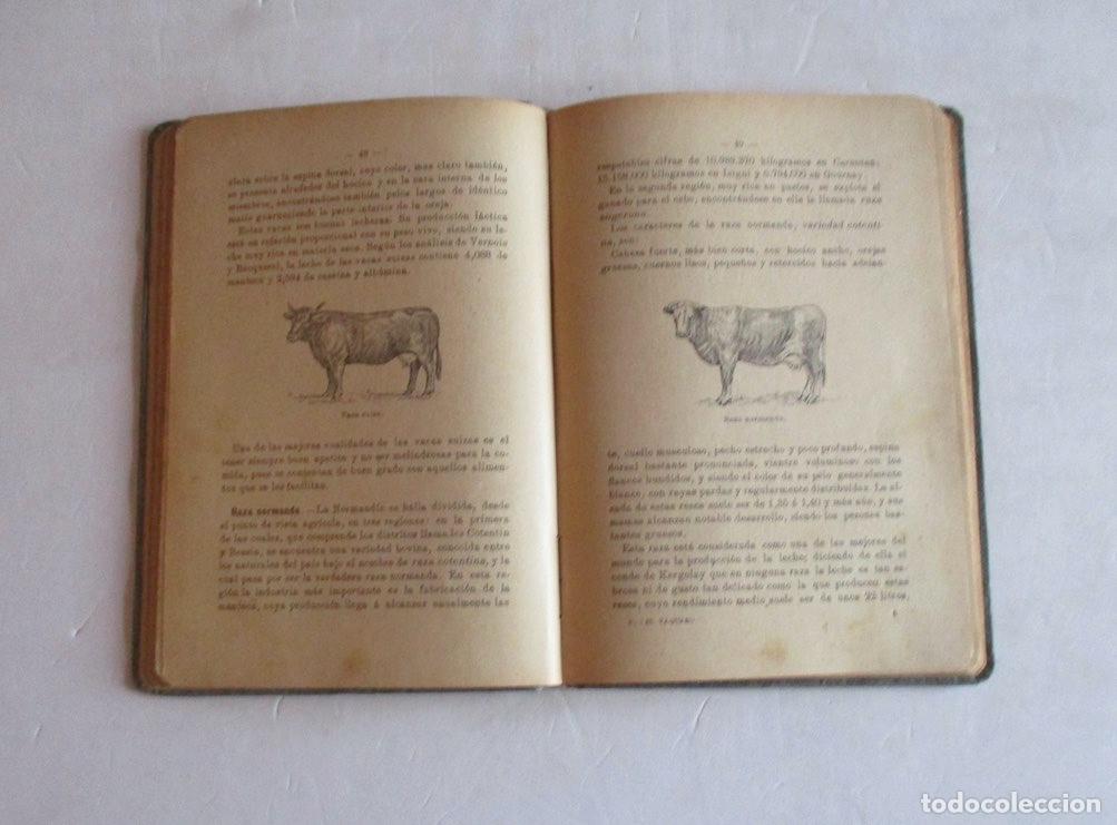 Libros antiguos: MANUAL PRACTICO DEL VAQUERO - RAMON PELLICO - Foto 6