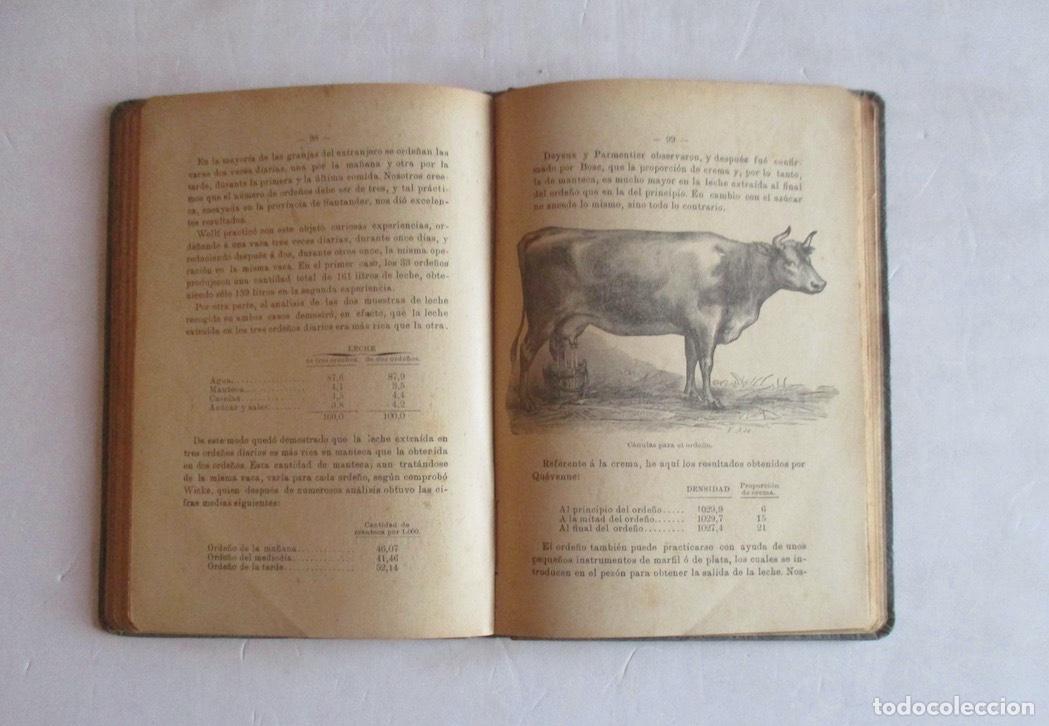 Libros antiguos: MANUAL PRACTICO DEL VAQUERO - RAMON PELLICO - Foto 7