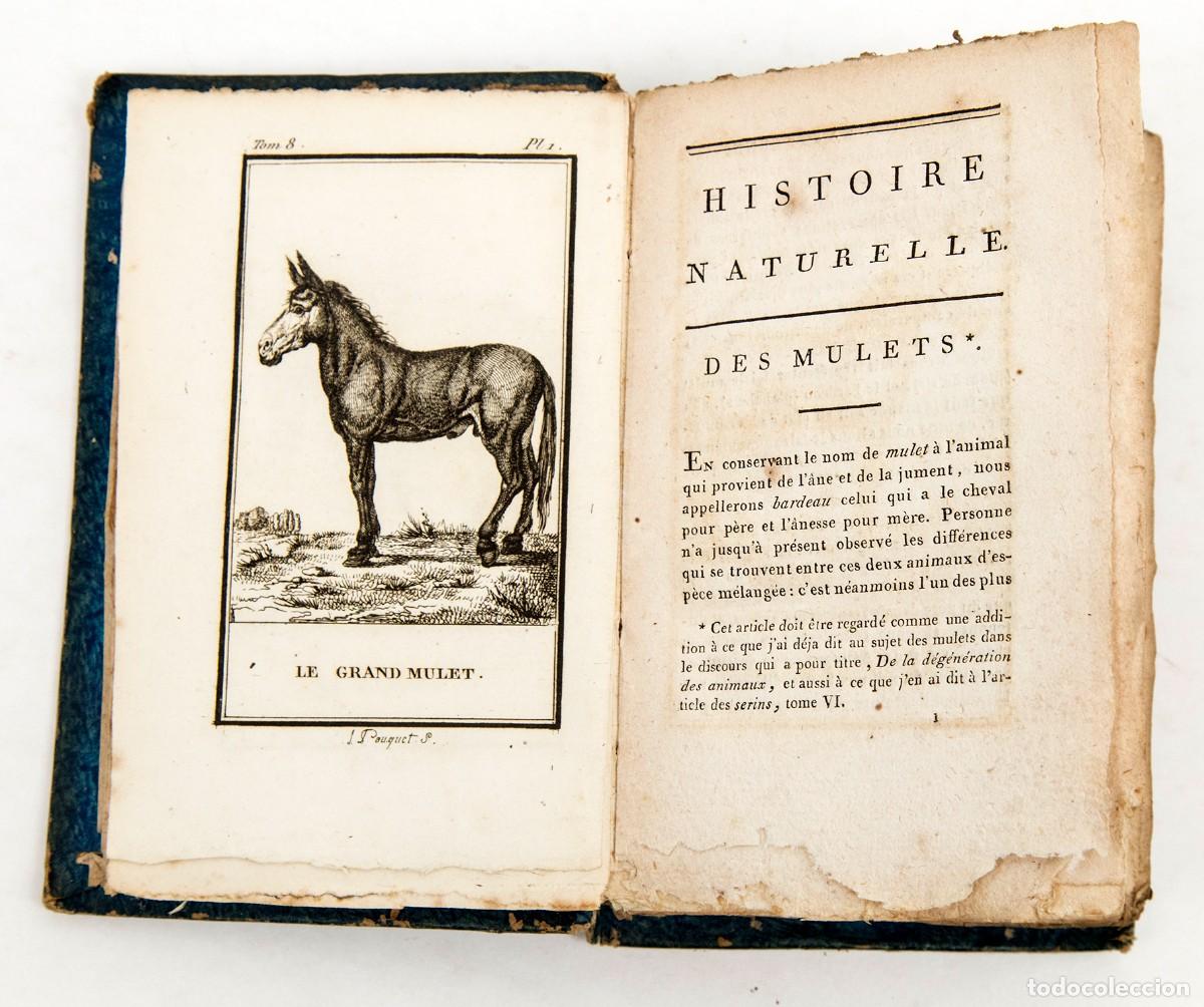 Libros antiguos: BUFFON - CUADR&Uacute;PEDOS - Foto 1